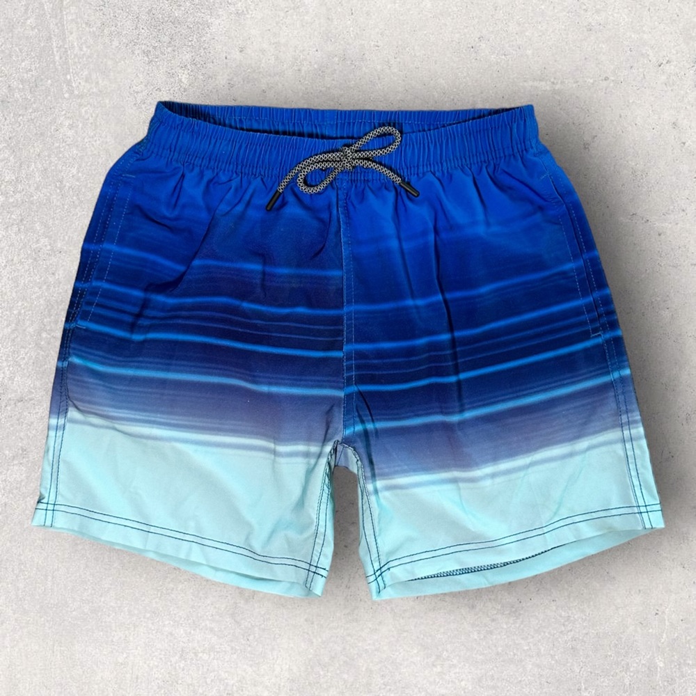 BENCH Monochromatic Blue Stripe Swimming Shorts